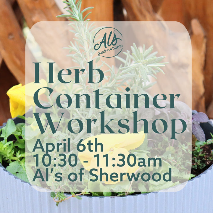 Herb Container Workshop: Sherwood