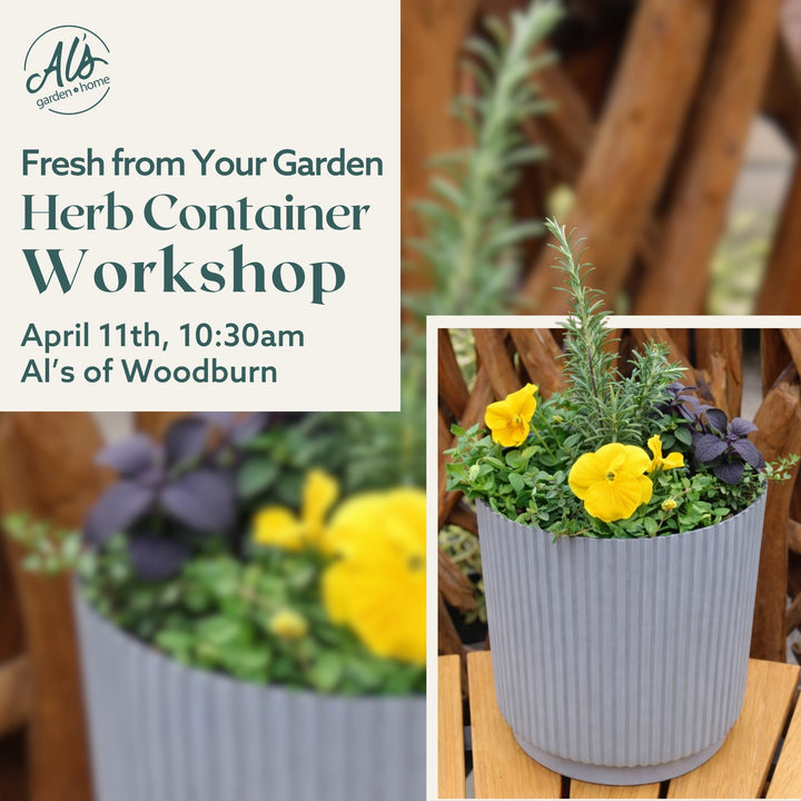 Herb Container Workshop - Woodburn