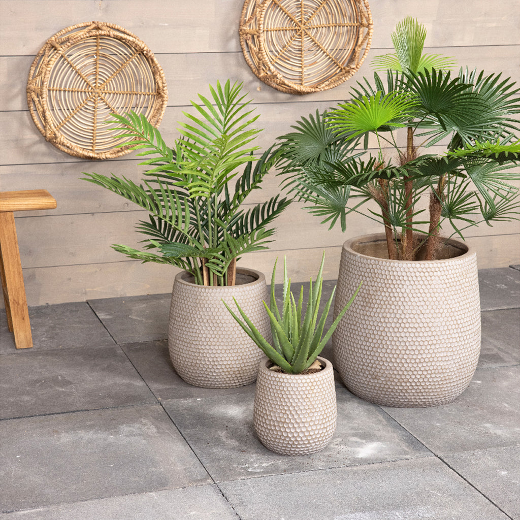 Amazon.com: Fox & Fern 10 Inch Plant Pot with Wooden Base