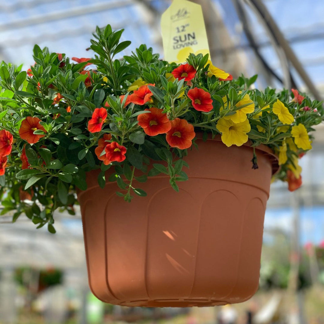 Spring Hanging Basket