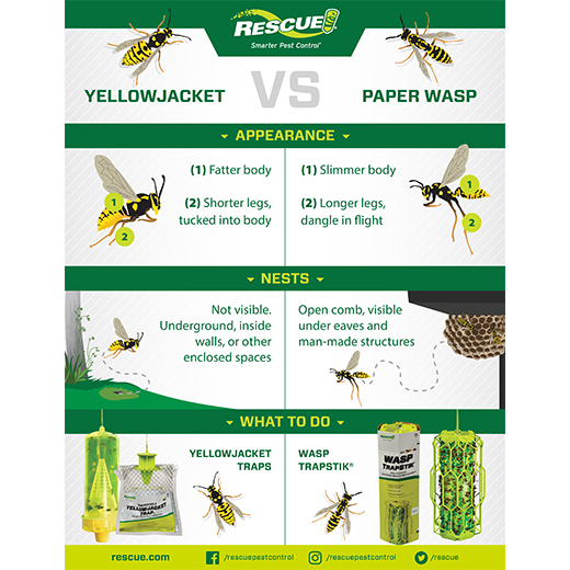 Yellow Jacket Trap by Rescue®