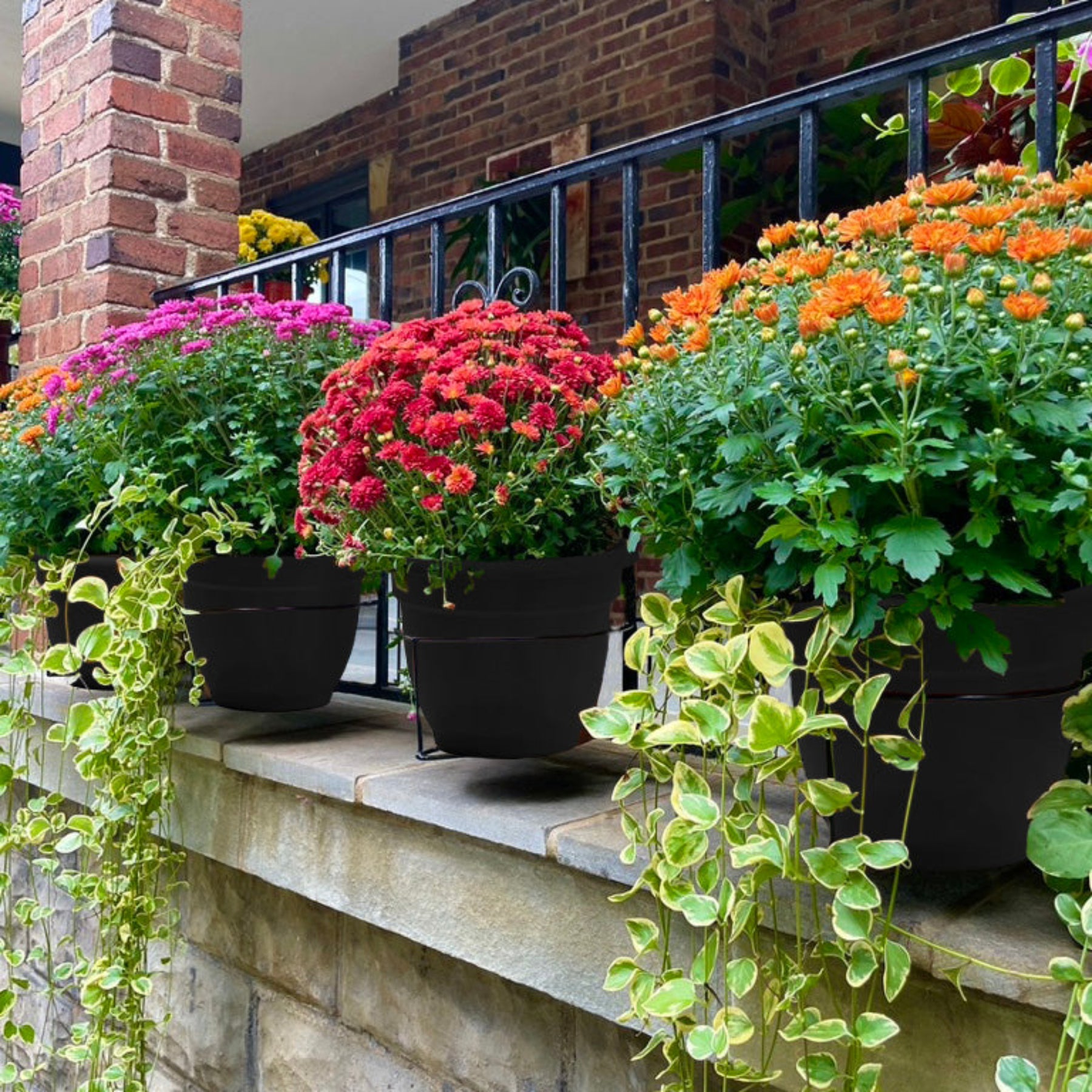 railing plant hanger Railscape Floating Plant Hanger – Al's Garden & Home