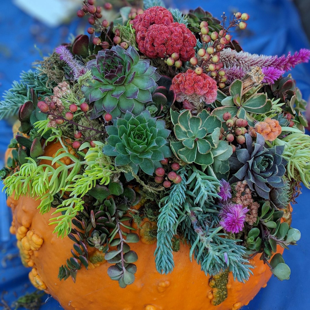 You're Gourdgeous: Pumpkin Decorating Workshop Gresham
