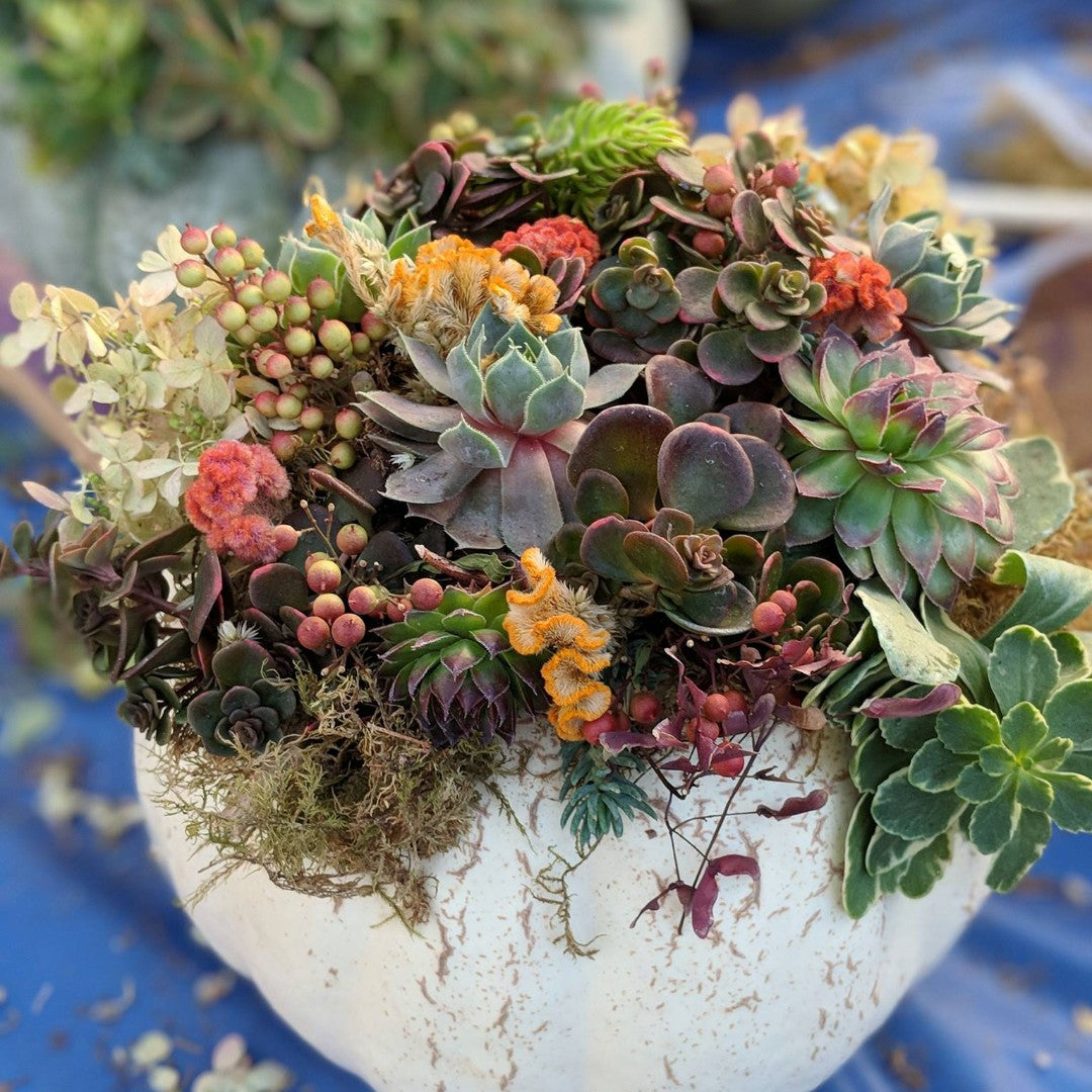 You're Gourdgeous: Pumpkin Decorating Workshop Gresham
