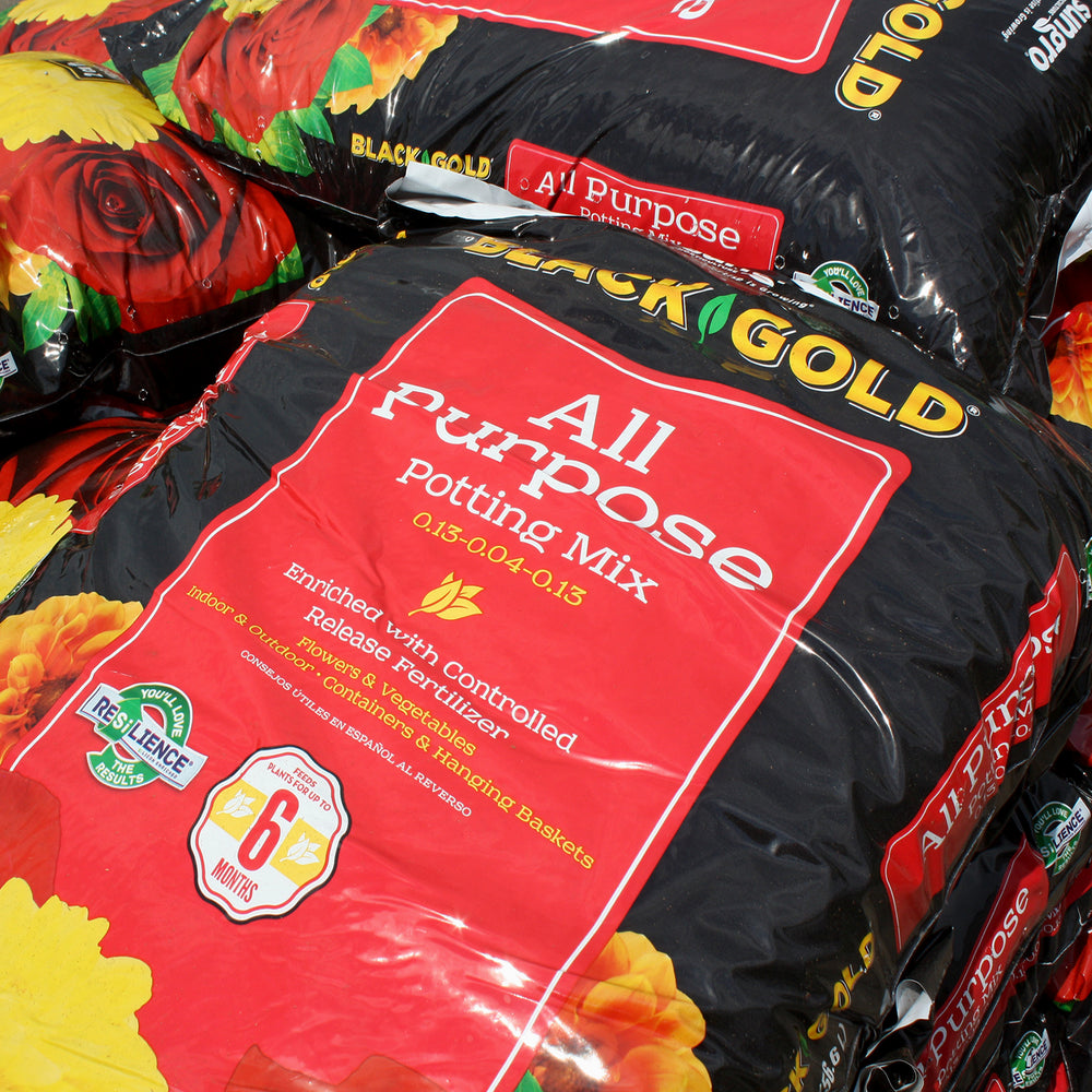 Black Gold All Purpose Potting Mix enriched with controlled release fertilizer