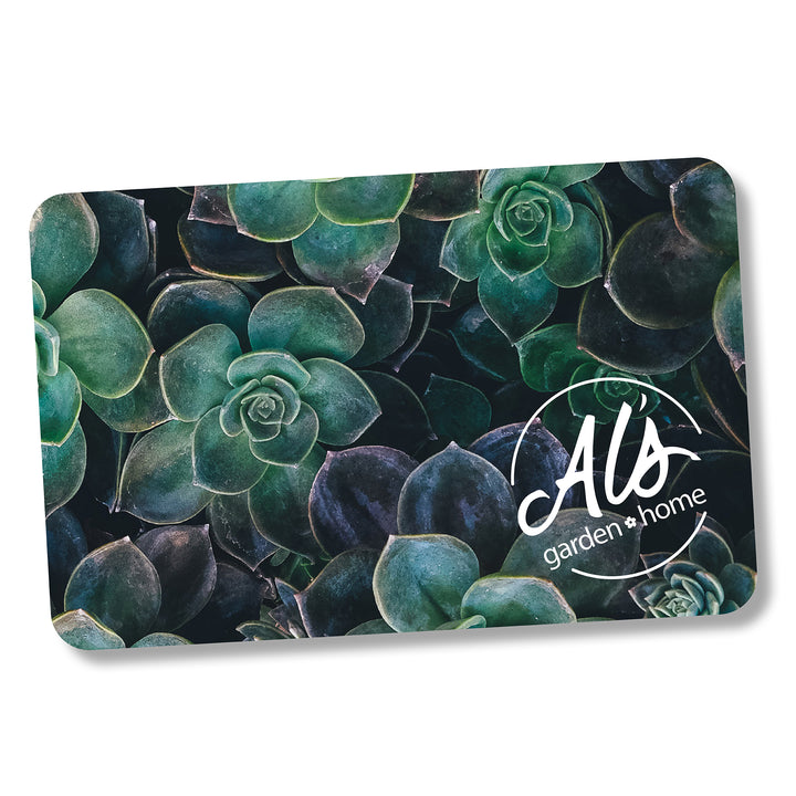 Al's Garden and Home Gift Card with a succulent background