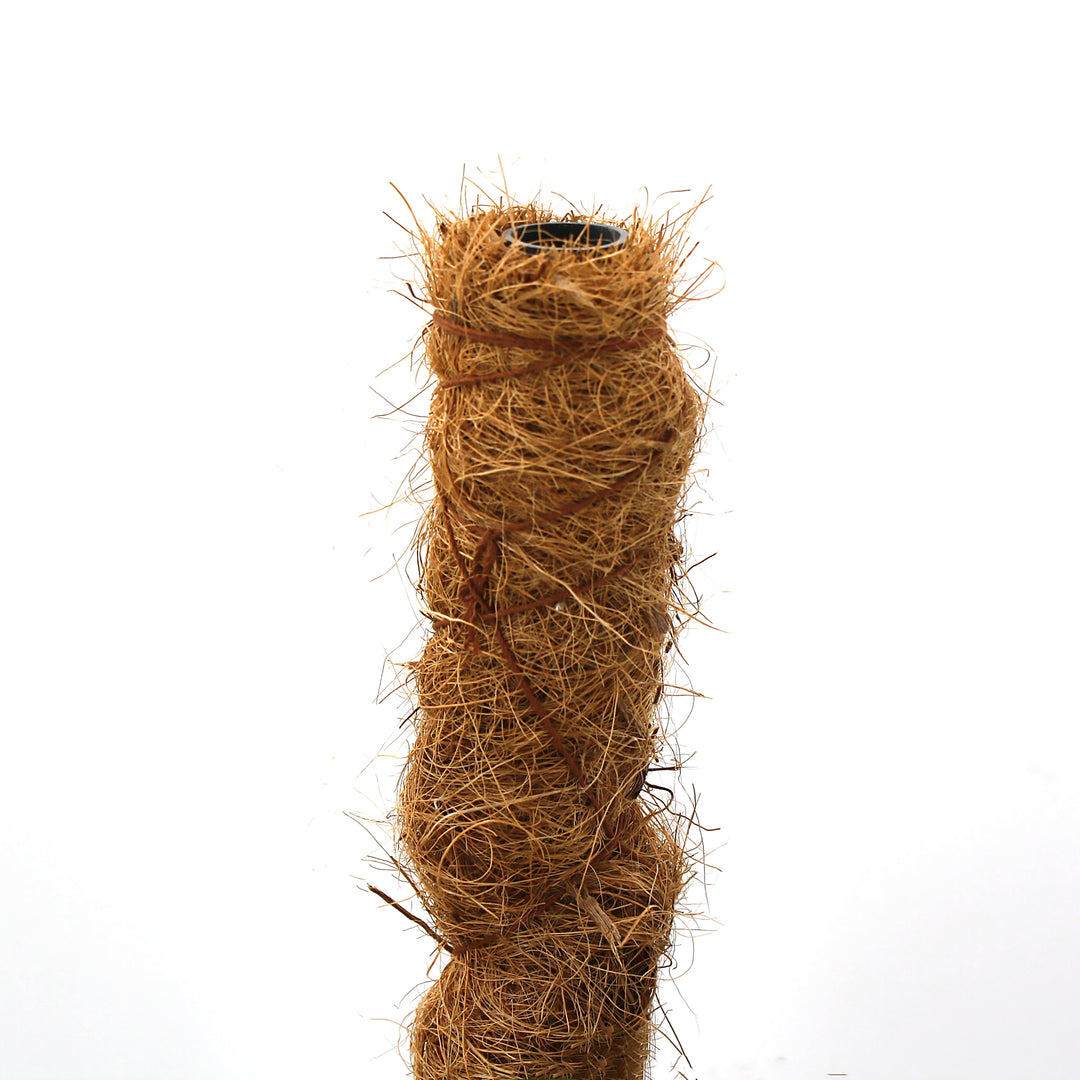 Coir Moss Pole