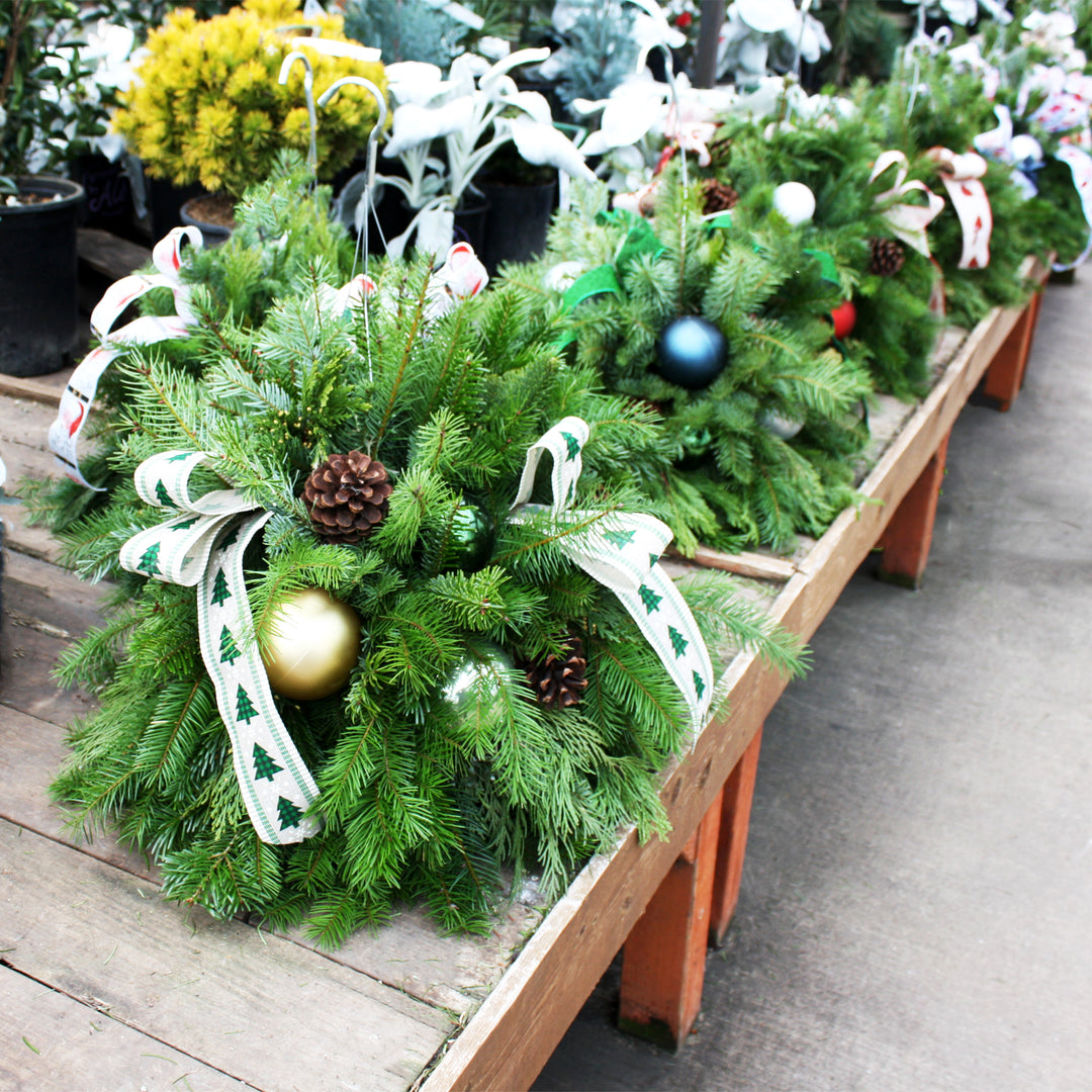 Al's Garden and Home Decorated Fir Basket