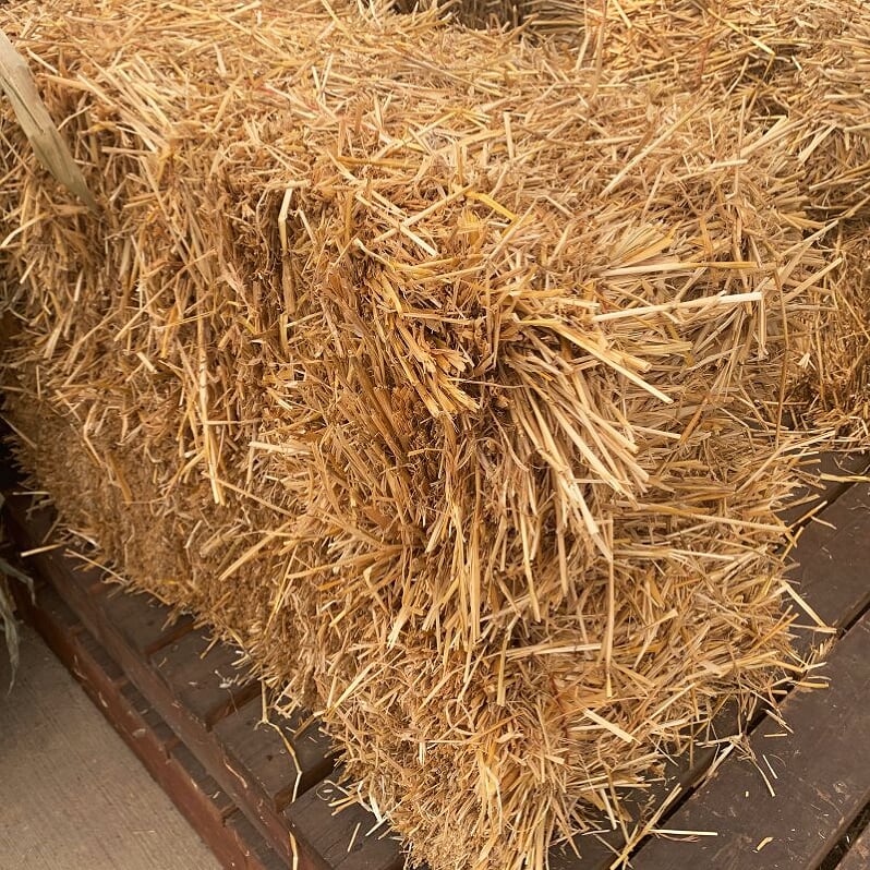 Al's Garden & Home Bale of Straw