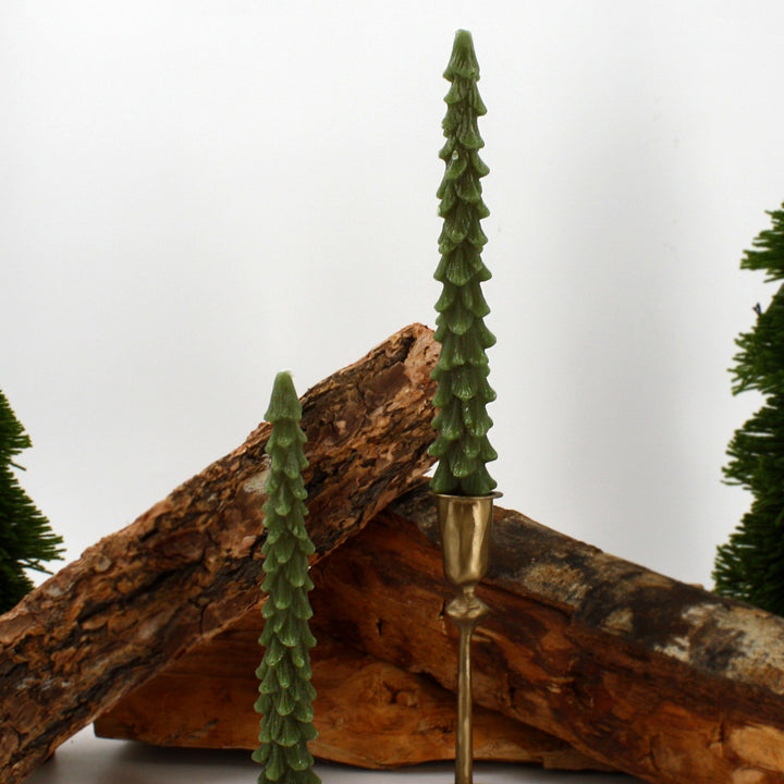 Tree Taper Candle 10" 2-Pack